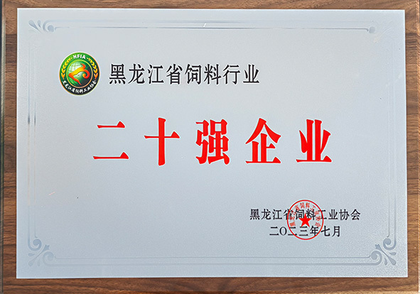 二十強企業
